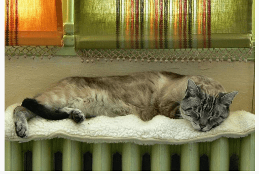 Chauffage électrique ou pompe à chaleur ?