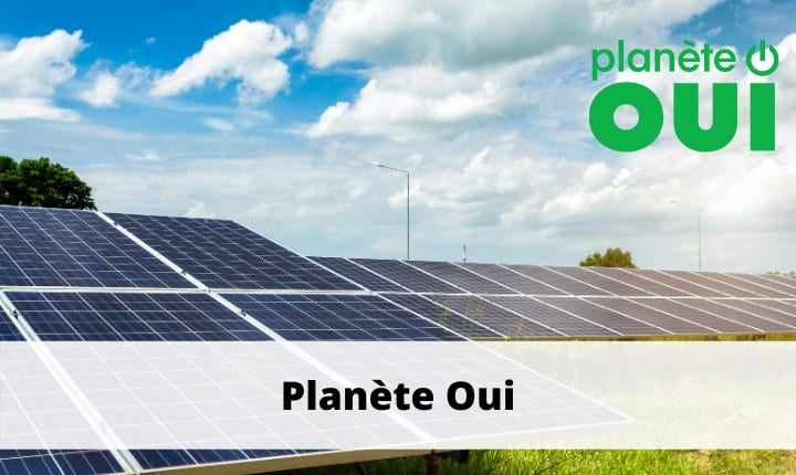 Planète OUI : tarifs, offres, contact en 2024