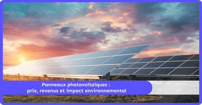 Panneaux photovoltaïques : prix, revenus et impact environnemental